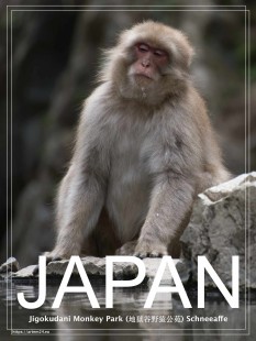 Jigokudani Monkey Park